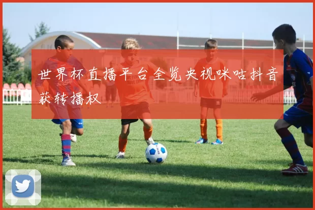 世界杯直播平台全览央视咪咕抖音获转播权
