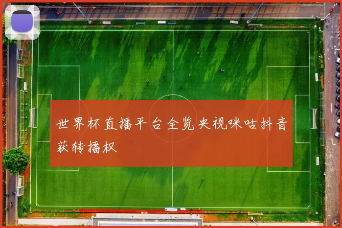 世界杯直播平台全览央视咪咕抖音获转播权