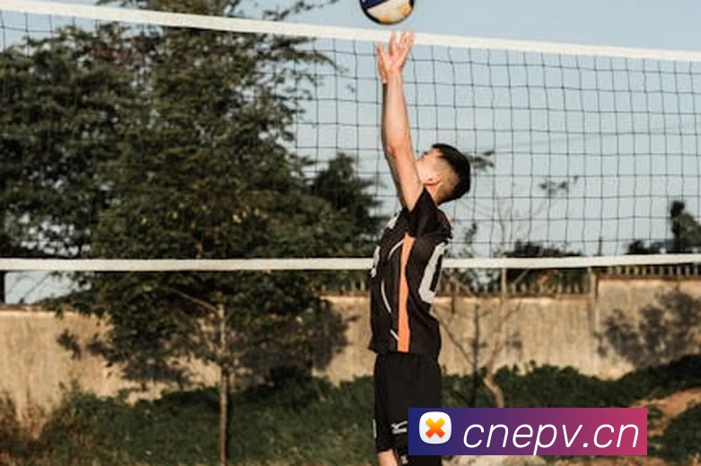 bsports官网登录入口APP 封面图